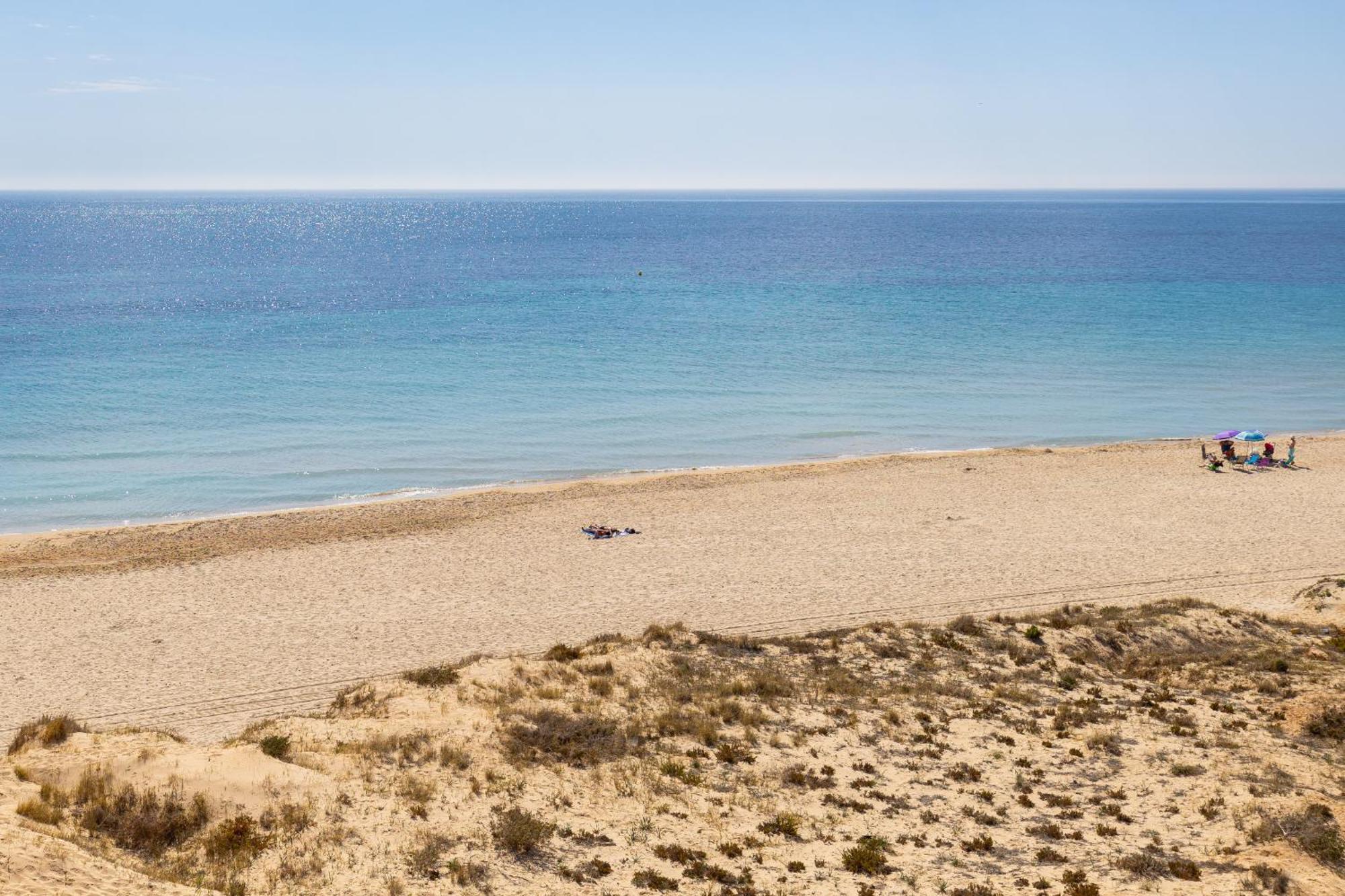 Paradise Palms By Fidalsa Dehesa de Campoamor  Εξωτερικό φωτογραφία